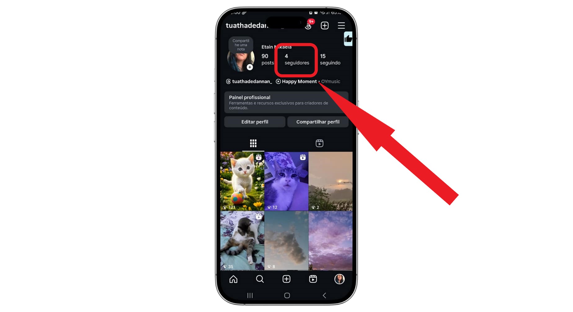 Print mostrando botões de seguidores no Instagram. É ilegal comprar seguidores para Instagram