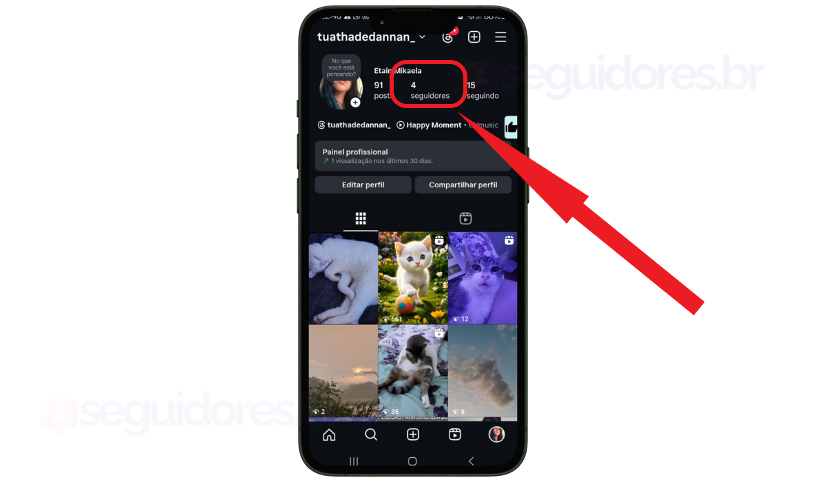 Print perfil antes de ganhar seguidores no Instagram grátis