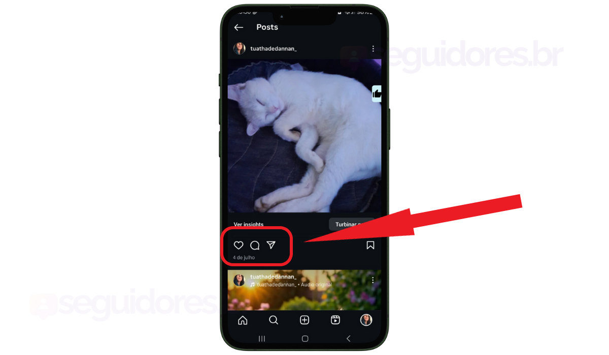 Print publicação Instagram - zero curtidas