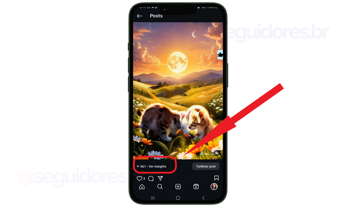 Print vídeo após ganhar visualizações reels grátis