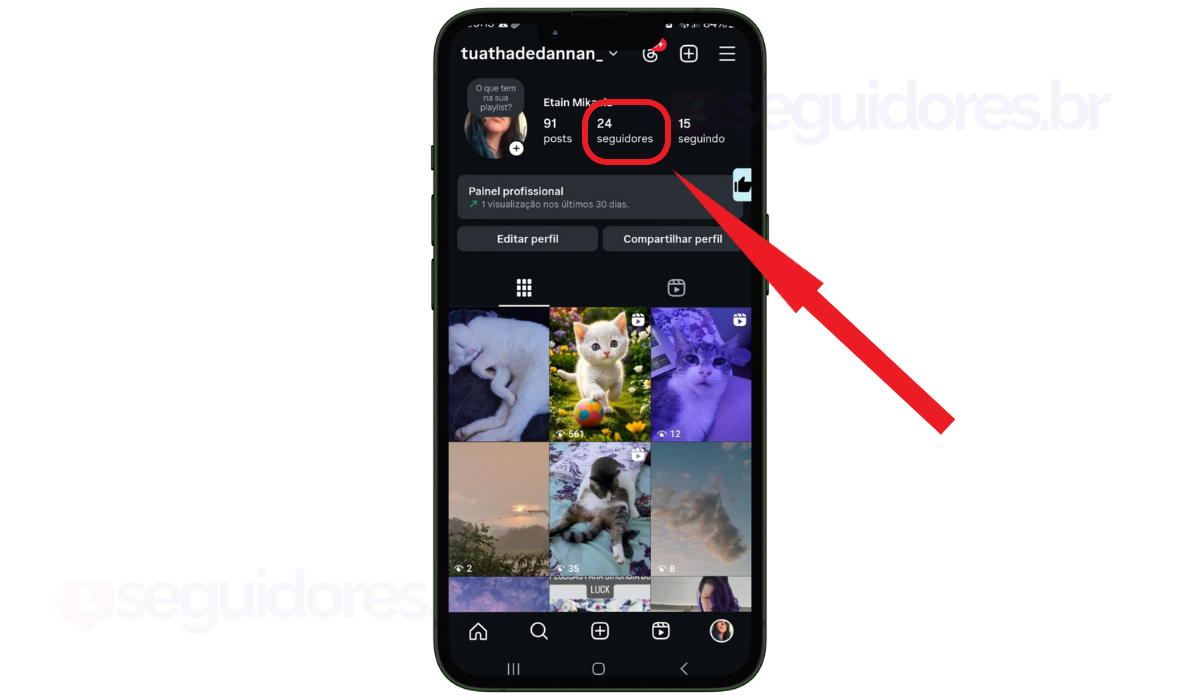 Print perfil depois de ganhar seguidores grátis na Pulsomax