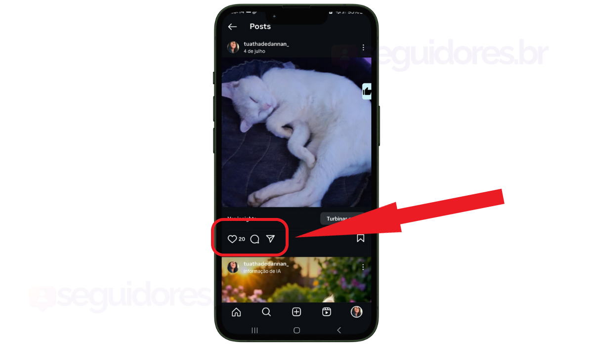 Print publicação Instagram após ganhar curtidas