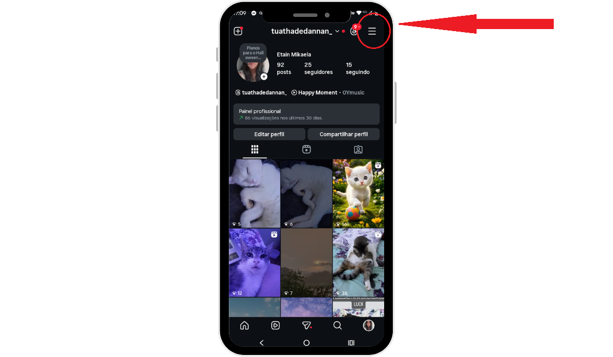 Botão de 3 traços perfil do Instagram