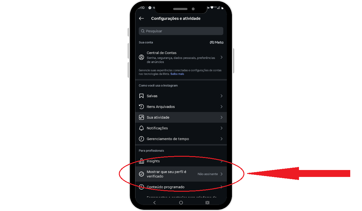 Mostrar que seu perfil é verificado Instagram
