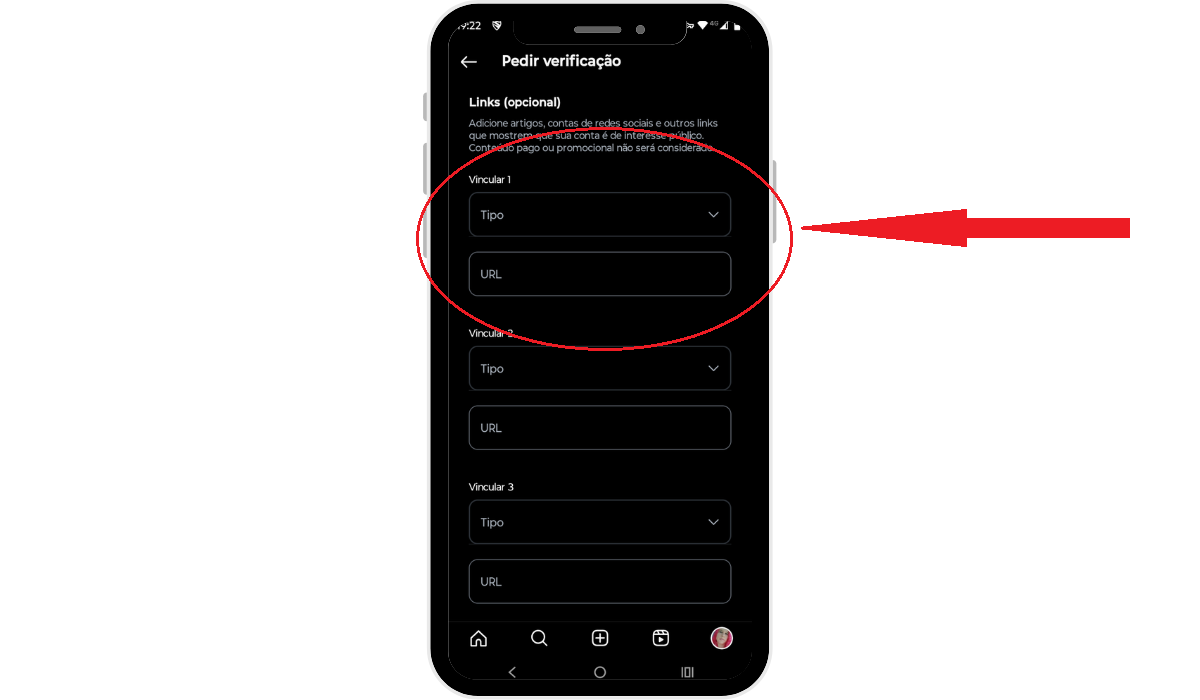 Verificar o perfil do Instagram - links